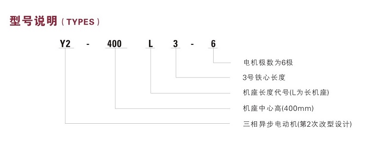 Y2VF400͉׃l{(dio)늙C̖f